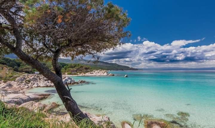 Apartmenthotel Sithon Sarti Dış mekan fotoğraf