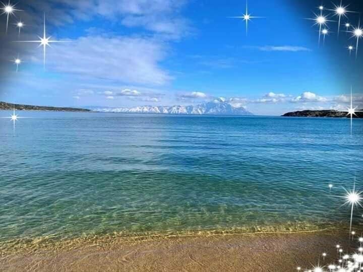 Apartmenthotel Sithon Sarti Dış mekan fotoğraf
