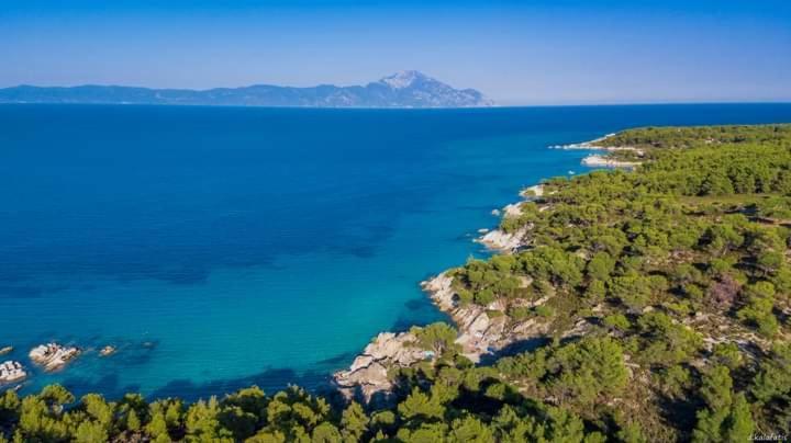 Apartmenthotel Sithon Sarti Dış mekan fotoğraf