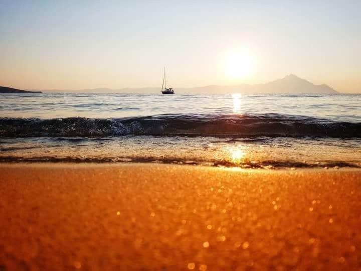 Apartmenthotel Sithon Sarti Dış mekan fotoğraf
