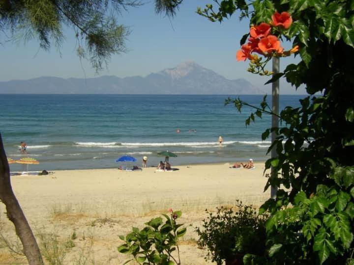 Apartmenthotel Sithon Sarti Dış mekan fotoğraf